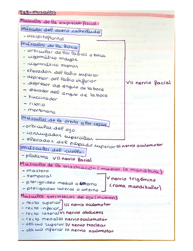 Miniatura del documento tema-13.pdf