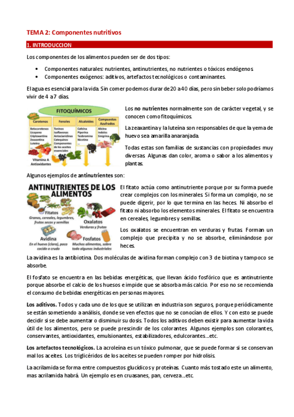 Miniatura del documento TEMA-2.-COMPONENTES-NUTRITIVOS.pdf