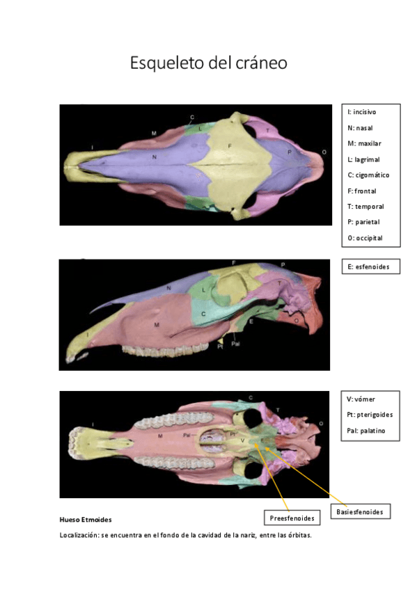 Miniatura del documento Practica-1.pdf