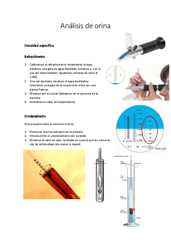 Miniatura del documento Practica-1.-Urianalisis.pdf
