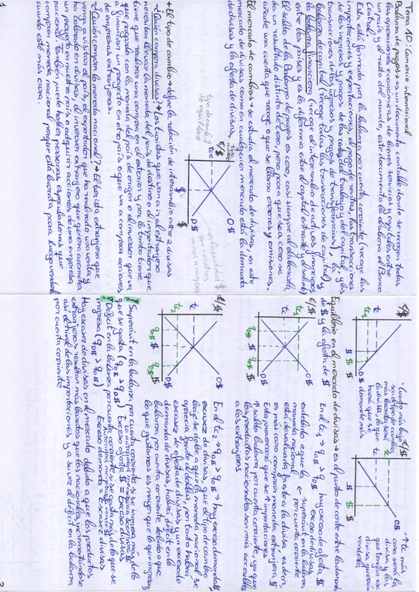 Miniatura del documento Tema-10-Teco.pdf