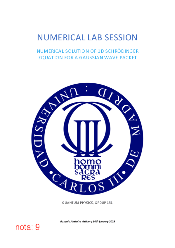 Miniatura del documento NumericalLab.pdf