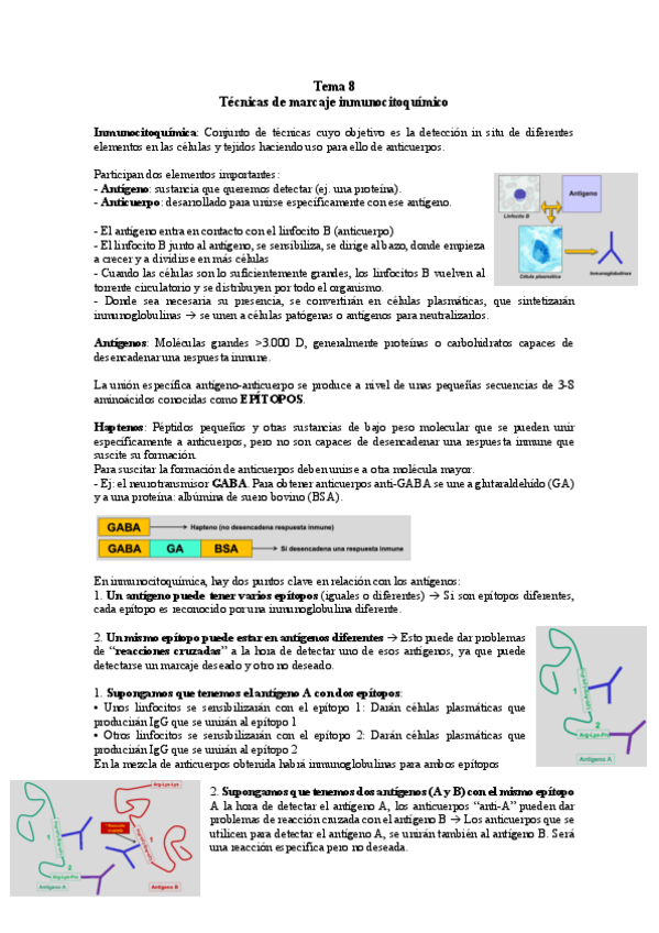 Miniatura del documento TEMA-8-TC.pdf