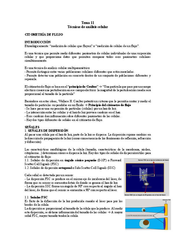 Miniatura del documento TEMA-11-TC.pdf