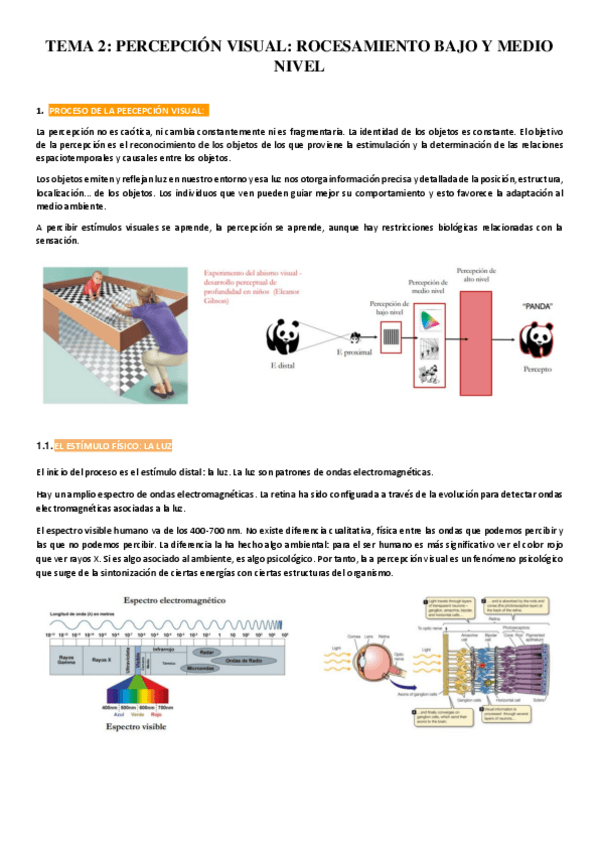 Miniatura del documento TEMA-2-percepcion-visual.pdf