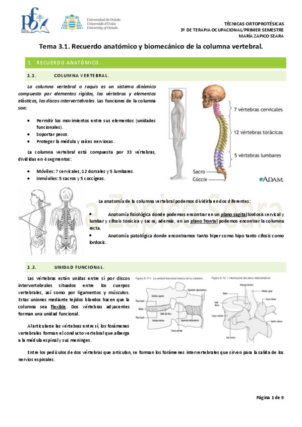 Miniatura del documento Tema-3.1.-Recuerdo-anatomico-y-biomecanico-de-la-columna-vertebral.pdf