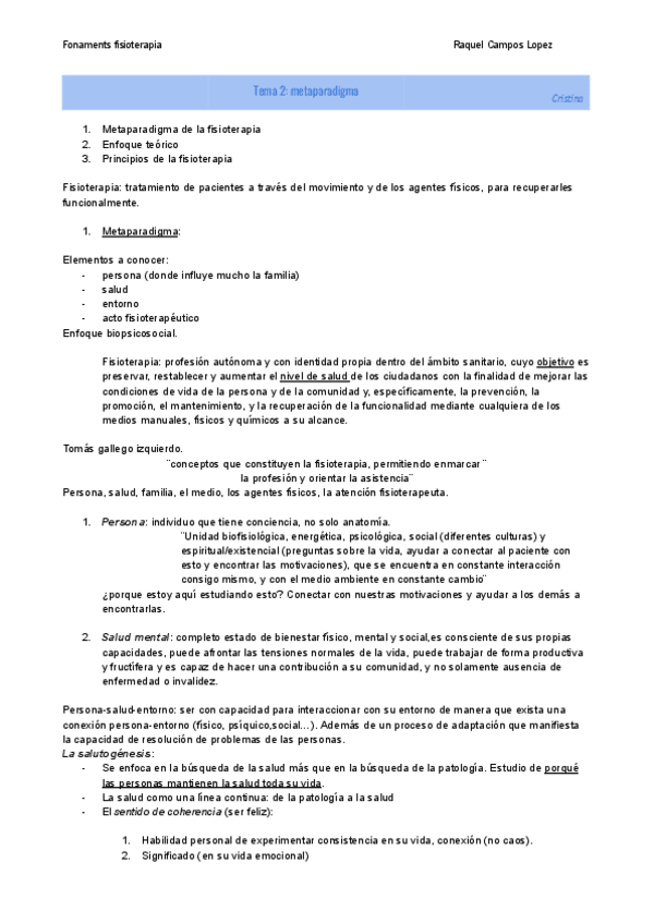 Miniatura del documento T2-metaparadigma.pdf