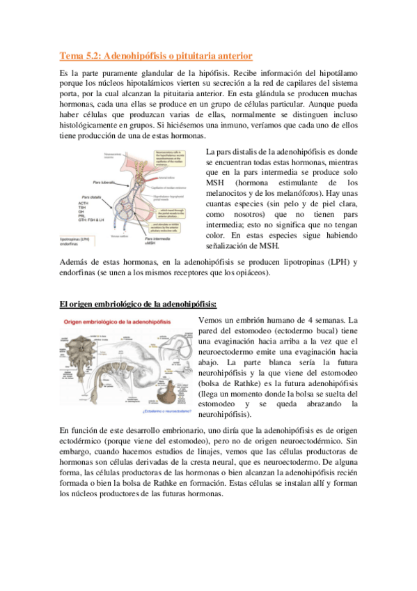 Miniatura del documento Tema-5.2.pdf