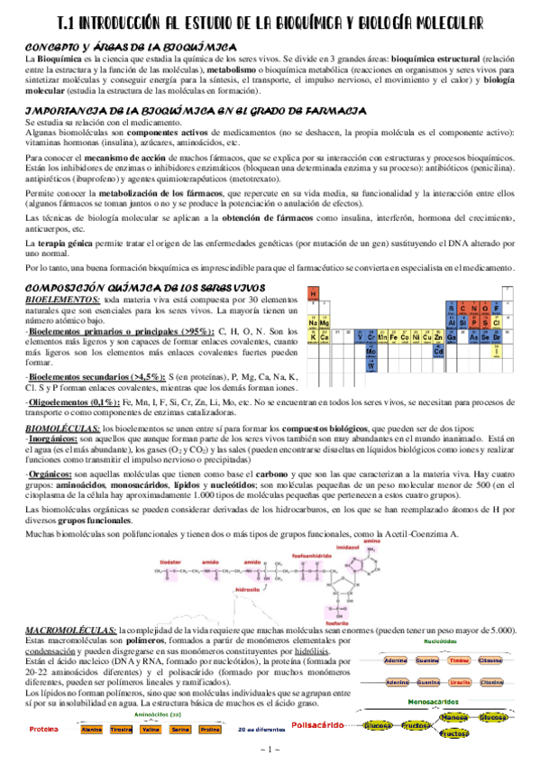 Miniatura del documento 1-Introduccion-al-estudio-de-la-bioquimica-y-biologia-molecular.pdf