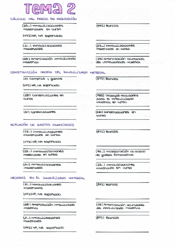 Miniatura del documento asientos-t.2.pdf