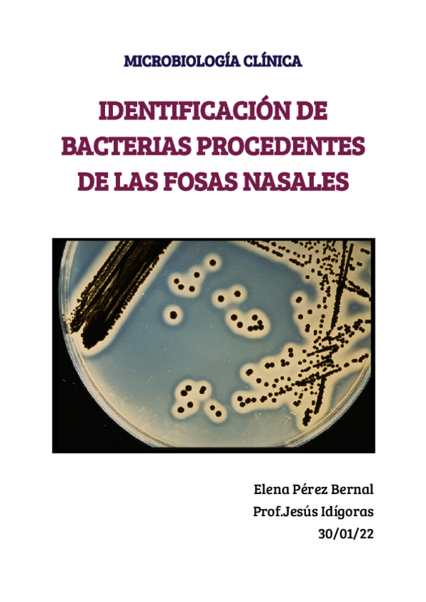 Miniatura del documento Identificacion-de-fosas-nasales.pdf