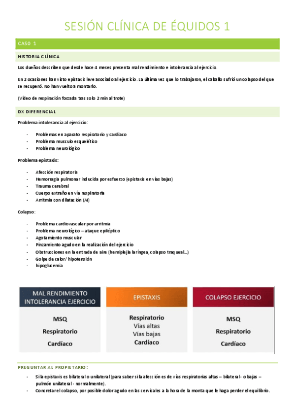 Miniatura del documento EQUIDOS-SESIONES-CLINICAS-PRACTICAS-TODO.pdf