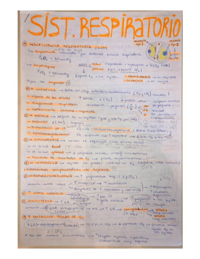 Miniatura del documento segundo-parcial-esquemas-resumen.pdf