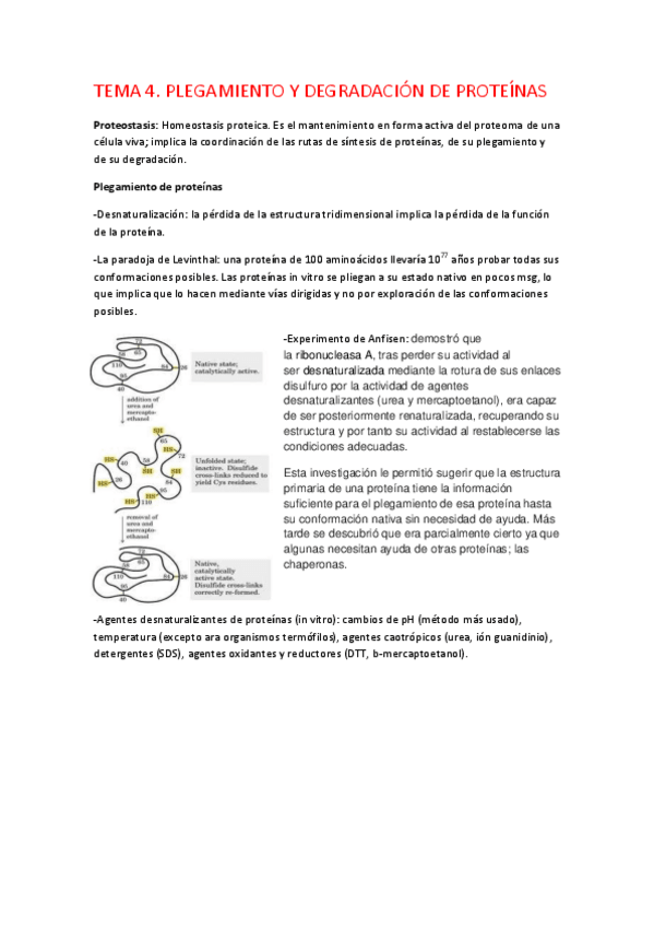 Miniatura del documento apuntes tema 4 bioq.pdf