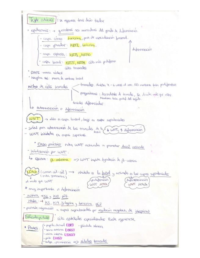 Miniatura del documento Resumenes-OCCI-completos-examen.pdf