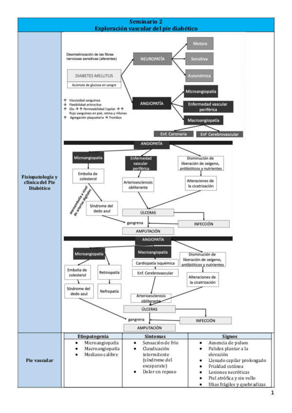 Miniatura del documento Seminario-2.pdf