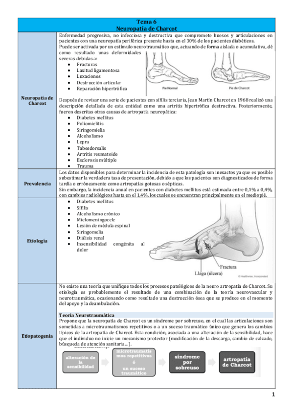Miniatura del documento Tema-6.pdf