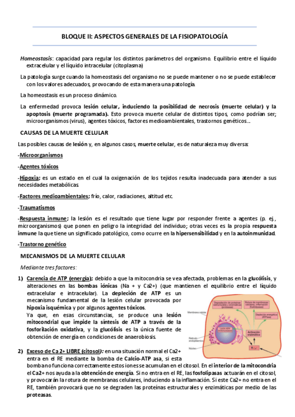 Miniatura del documento PRIMER-PACIAL.-FISIOLOGIA-I.pdf