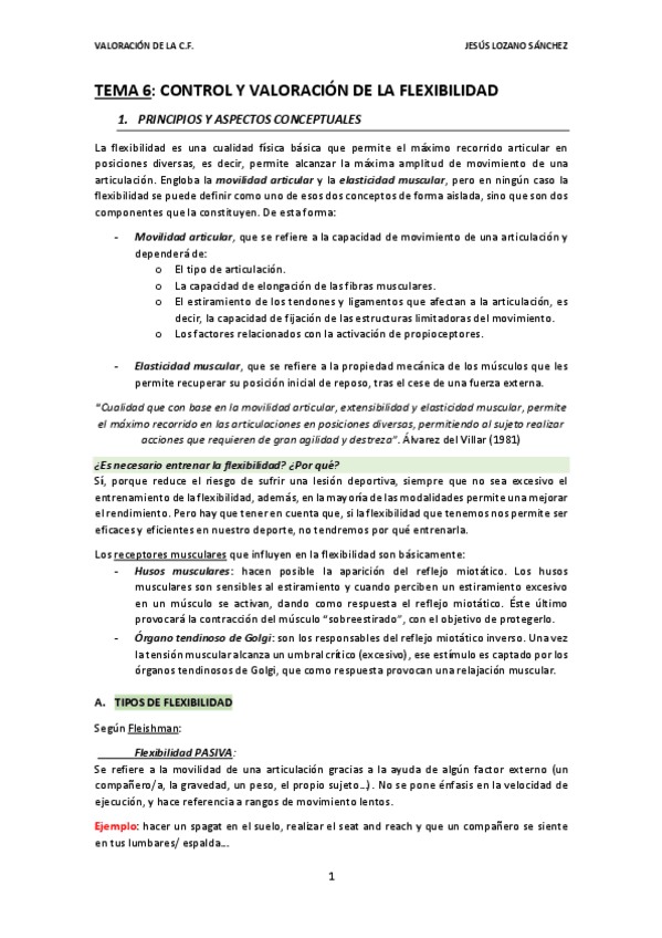 Miniatura del documento tema-6-valoracion-FLEXIBILIDAD.pdf