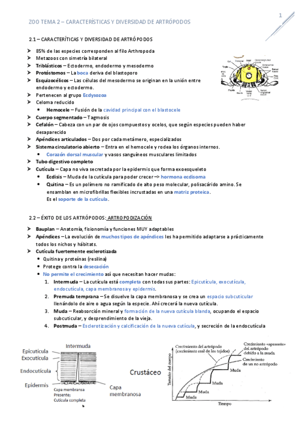 Miniatura del documento T2Artropodos.pdf