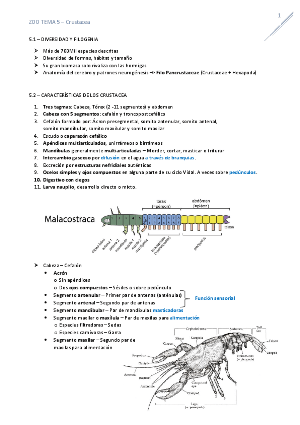 Miniatura del documento T5Crustacea.pdf