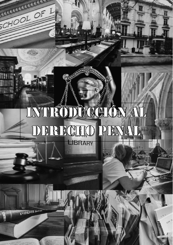 Miniatura del documento Introduccion-al-Derecho-penal-de-Julio-F..pdf