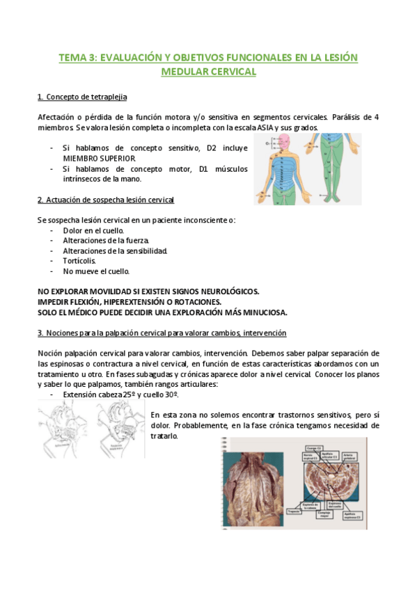 Miniatura del documento TEMA-3.EVALUACION-Y-OBJETIVOS-FUNCIONALES-EN-LA-LESION-MEDULAR-CERVICAL.pdf