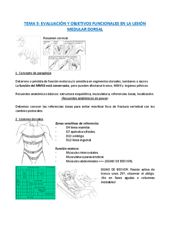 Miniatura del documento TEMA-5.-EVALUACION-Y-OBJETIVOS-FUNCIONALES-EN-LESION-MEDULAR-DORSAL.pdf