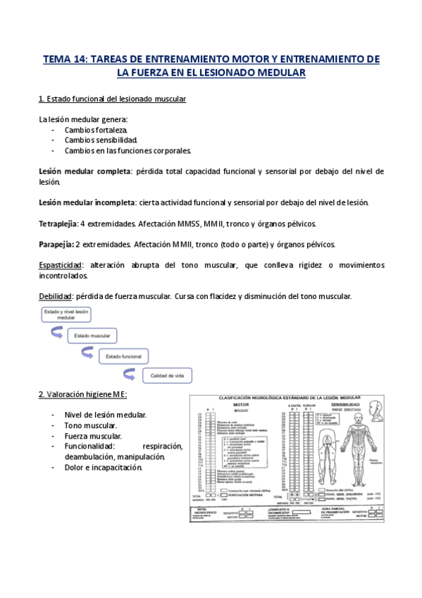 Miniatura del documento TEMA-14.-ENTRENAMIENTO.pdf