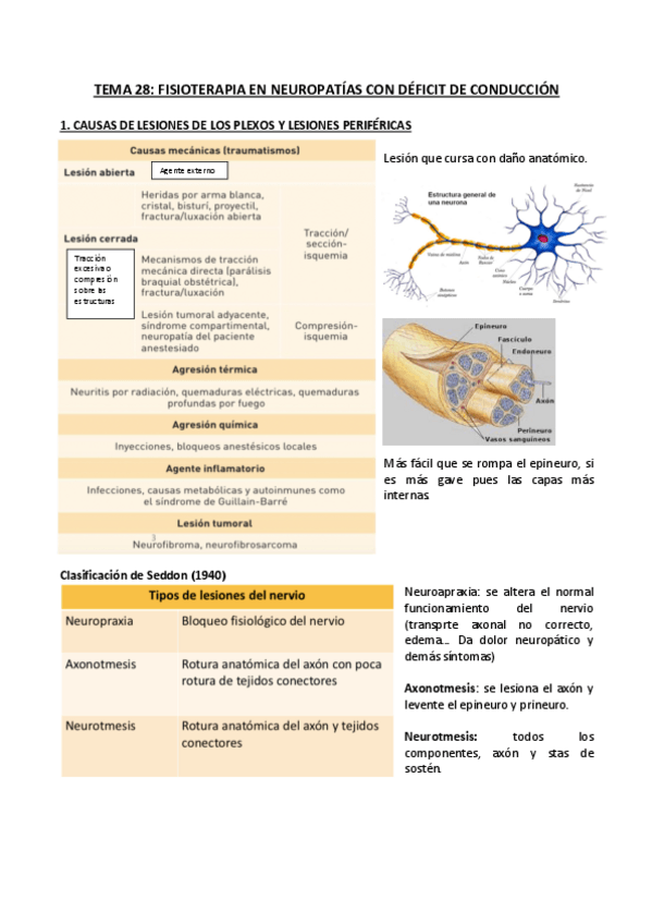 Miniatura del documento TEMA-28.-NEUROPATIAS-CON-DEFICIT-DE-CONDUCCION.pdf