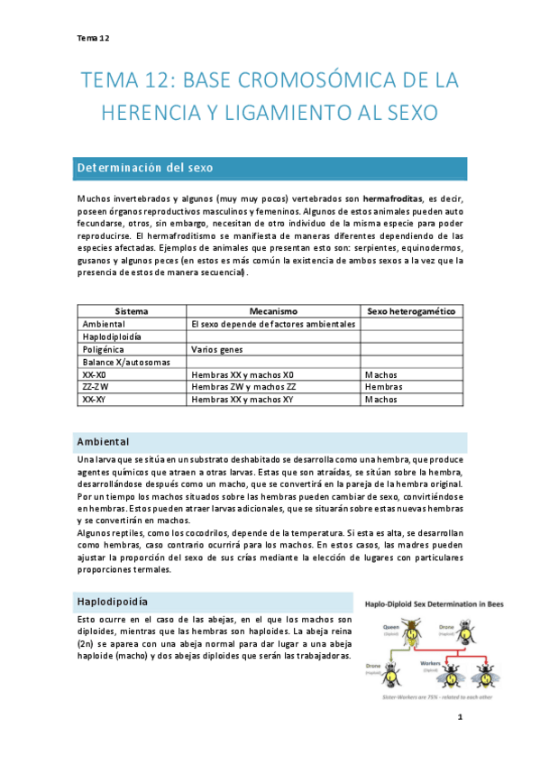 Miniatura del documento Tema-12.-Base-cromosomica-de-la-herencia-y-ligamiento-al-sexo.pdf
