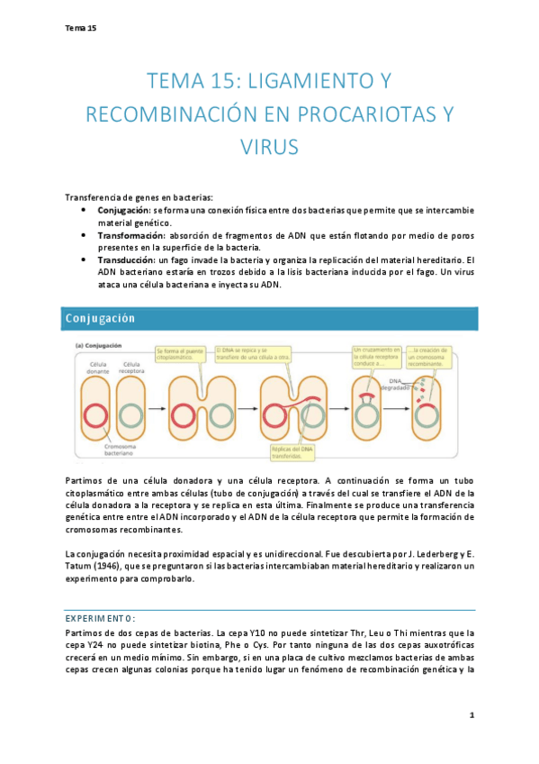 Miniatura del documento Tema-15.-Ligamiento-y-recombinacion-en-procariotas-y-virus.pdf