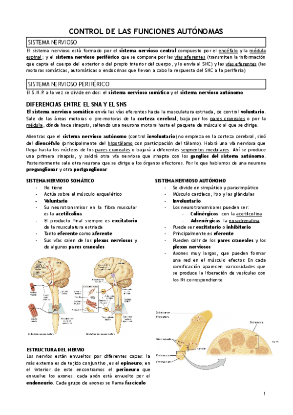 Miniatura del documento T.4-CONTROL-DE-LAS-FUNCIONES-AUTONOMAS.pdf
