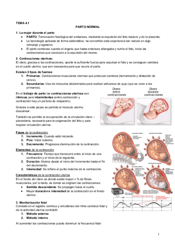 Miniatura del documento 4.1 Parto normal.pdf