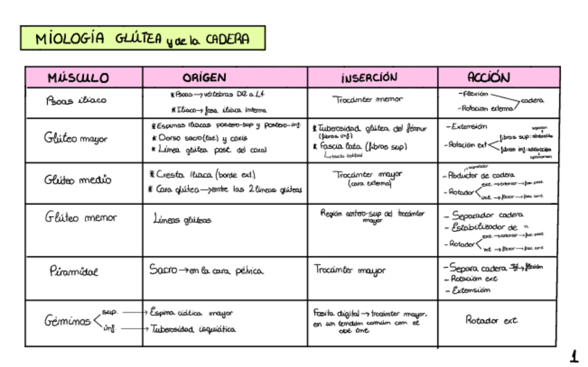 Miniatura del documento Tabla-Musculos-Inferior.pdf