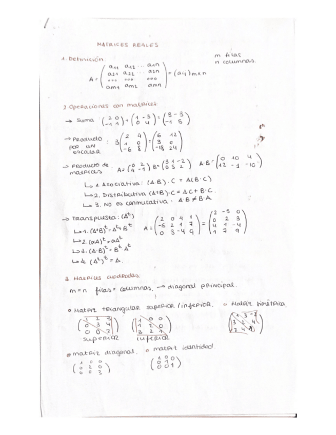 Miniatura del documento Tema-1-MATRICES-REALES.pdf