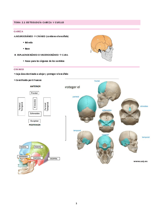Miniatura del documento tema-2-A.pdf
