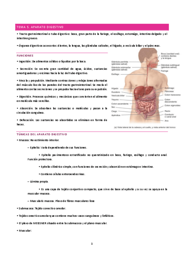 Miniatura del documento tema-5-A.pdf