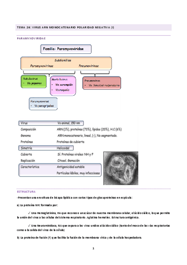 Miniatura del documento tema-26-27-28-M.pdf
