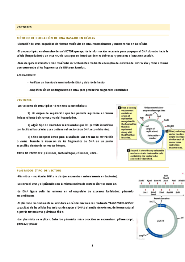 Miniatura del documento tema-3.2-G.pdf