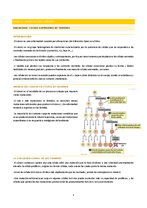 Miniatura del documento tema-5-G.pdf