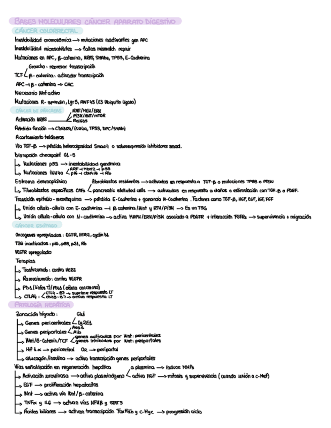 Miniatura del documento Bases-Moleculares-Tema-9-esquema.pdf