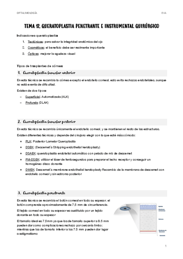 Miniatura del documento 12.-QUERATOPLASTIA-PENETRANTE.pdf