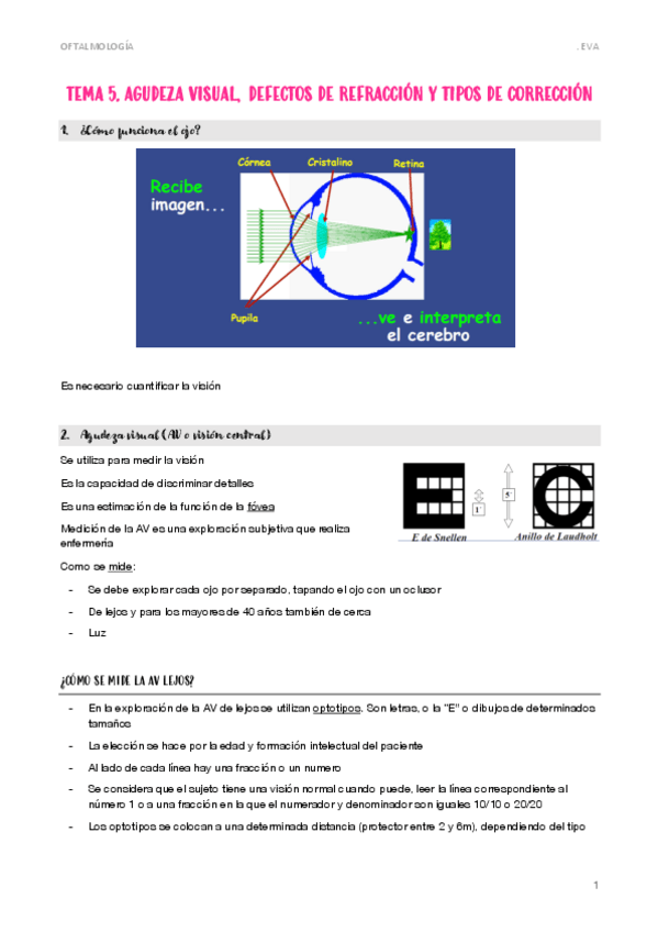 Miniatura del documento 5.-AGUDEZA-VISUAL.pdf