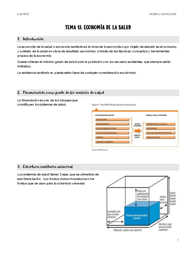 Miniatura del documento 13.-ECONOMIA-DE-LA-SALUD.pdf