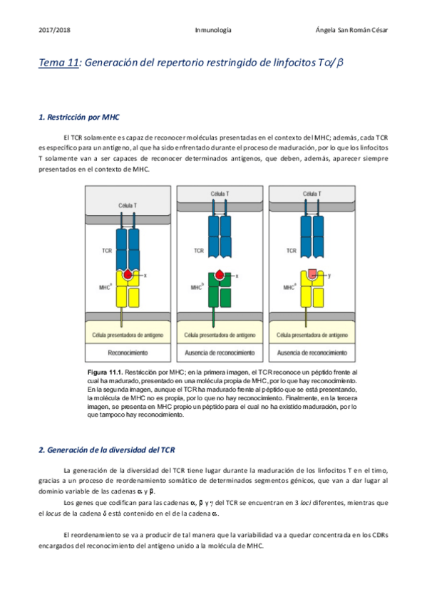 Miniatura del documento 11. Generación del repertorio restringido de linfocitos Ta:b.pdf