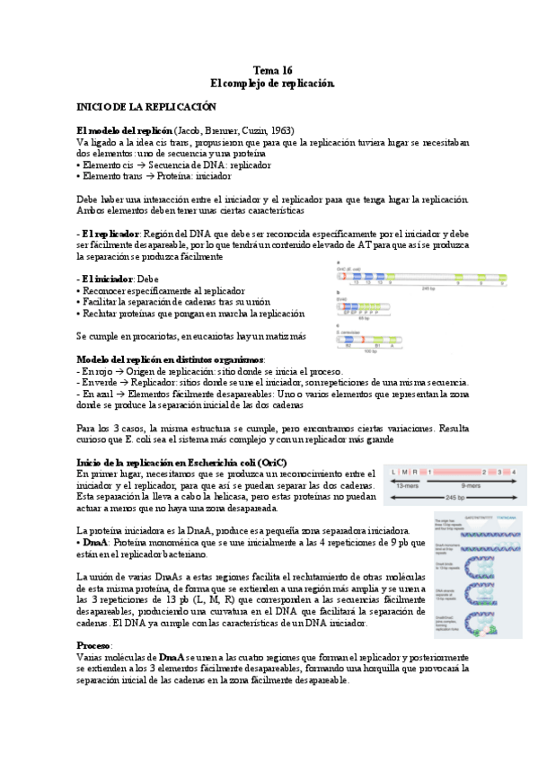 Miniatura del documento TEMA-16-BM.pdf