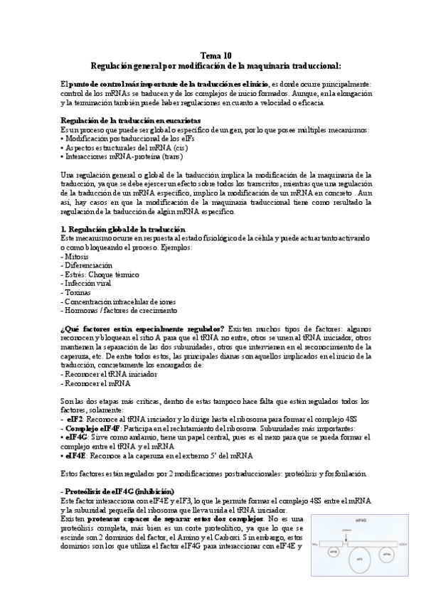 Miniatura del documento TEMA-10-BM.pdf