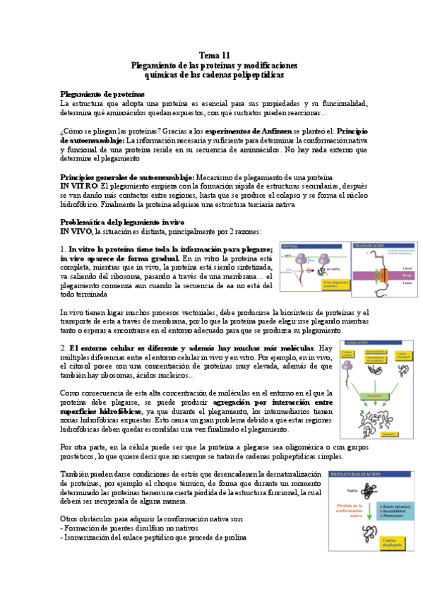 Miniatura del documento TEMA-11-BM.pdf