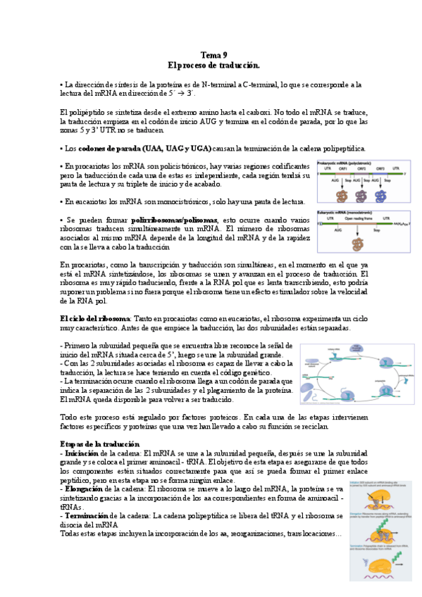 Miniatura del documento TEMA-9-BM.pdf